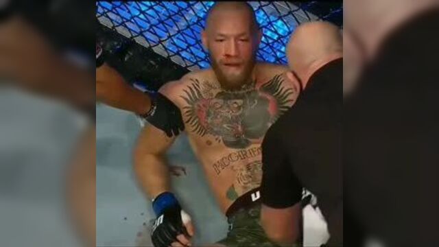 Дастин порье нокаутирует конора макгрегора