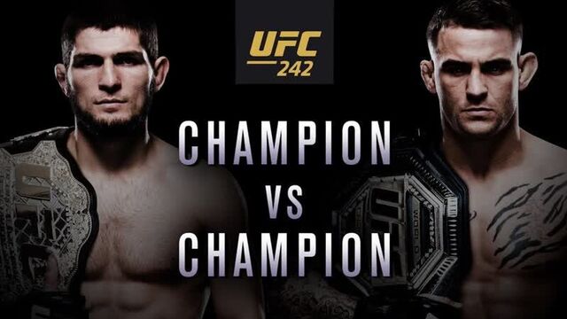Ufc 242: хабиб vs порье - чемпион против чемпиона
