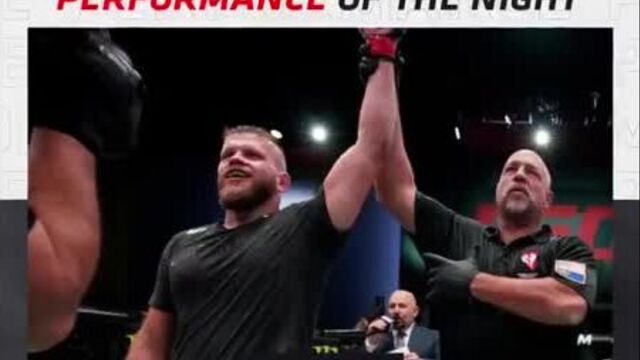 Ufc vegas 17