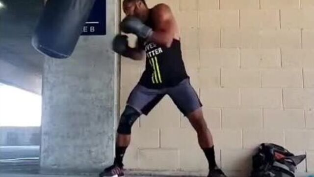 Черная пантера xthyfz gfynthf