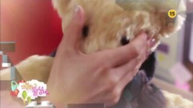 Хитрость одинокой женщины / cunning single lady / превью 15-ой серии