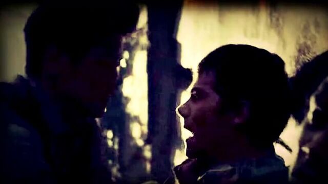 The maze runner / бегущий в лабиринте (минхо) - turn down for what