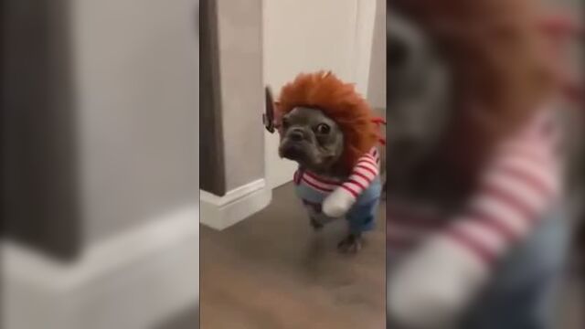 Ублюдок мать твою.