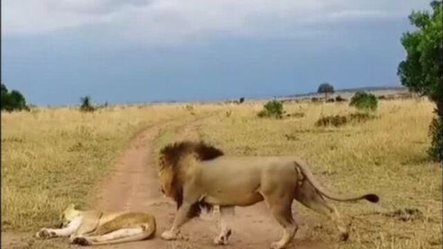 Как разбудить девушку