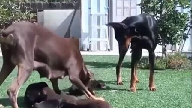 Удивительная планета elbdbntkmyfz gkfytnf