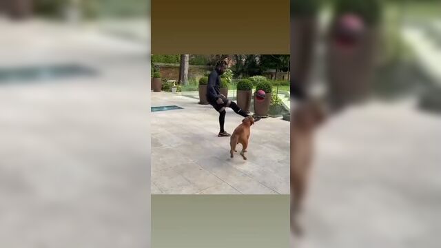 Аллан сен-максимен против 