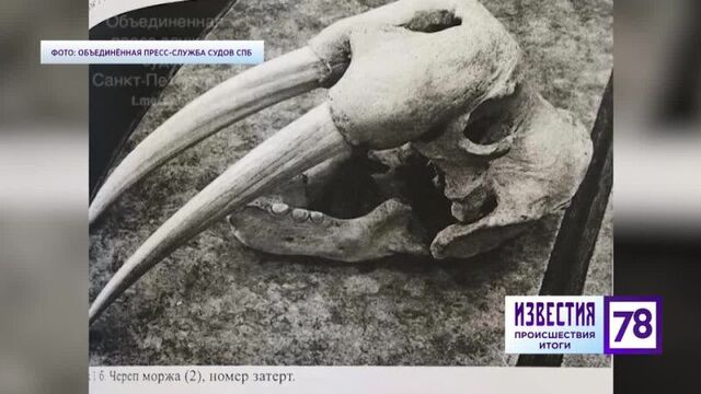 Тысяча костей!