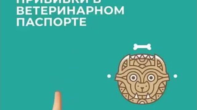 Video by ветеринарная клиника "талисман" в алматы