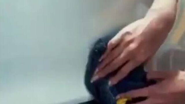 Автополотенце гринвей