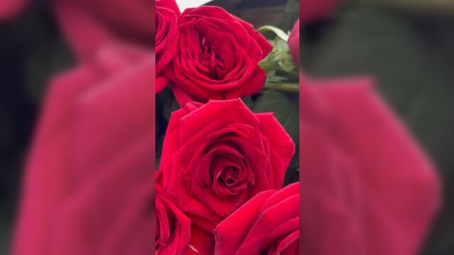 Белая приора 