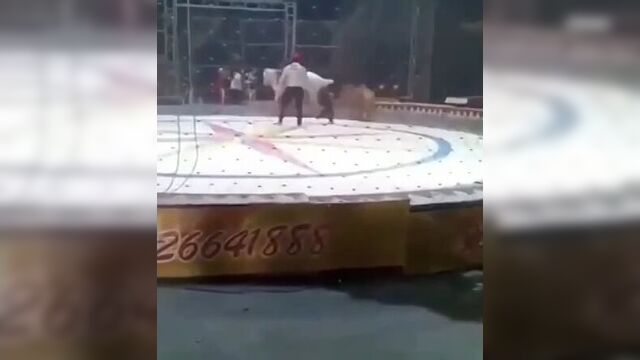 Цирковое представление закончилось