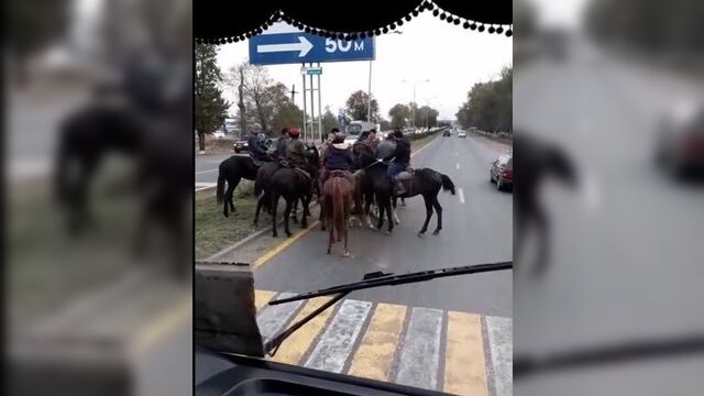 Кокпар в алматы на трассе. авторынок барыс