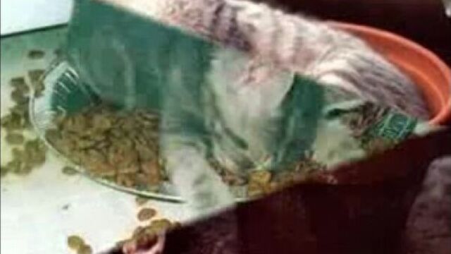 Лучшие позы в постели