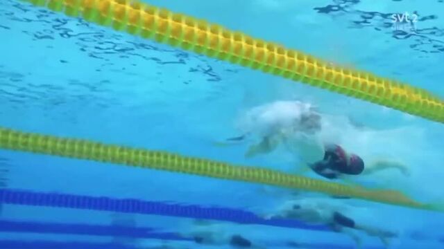 Адам пити техника плавания брассом