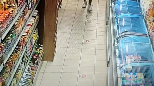 Беспалевность зашкаливает