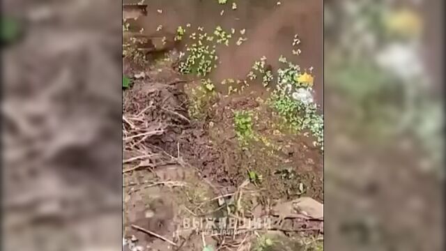 Способ ловли угря выживший