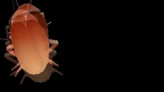 Хайп прикол 2021 год