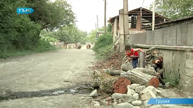 Бацбийцы-ингуши