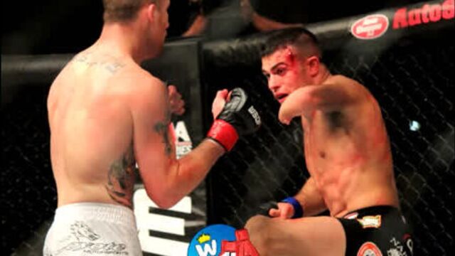 Бой джастина гейджи и ника ньюэлла