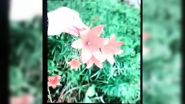 Саят абенов...