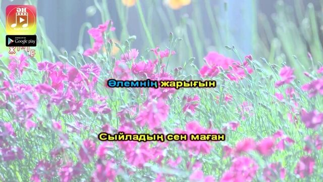 Ана туралы жыр шәмші караокесі