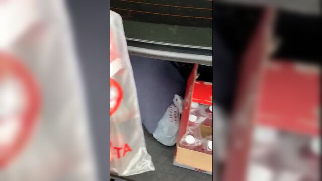 Toyota управляй мечтой