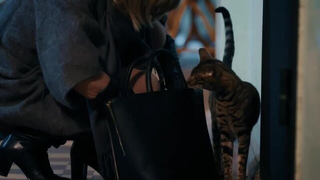 Склифосовский 6 сезон 2 серия - павлова и кот