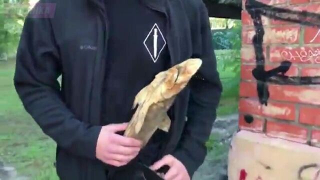 Optimus gang - 7 уроков