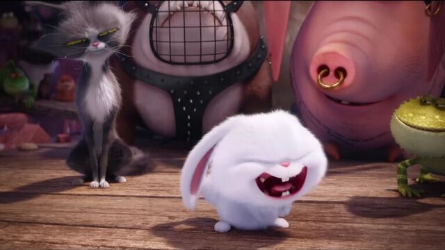 "секрети домашніх тварин" кролик сніжок