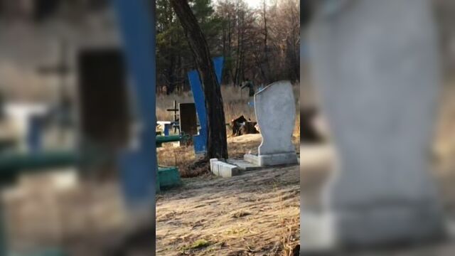 Video by лутугино|трезвый взгляд