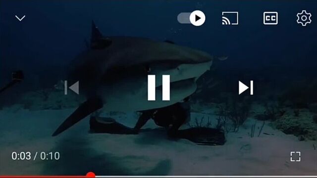 Будь здоров! расти большой! не будь лапшой!