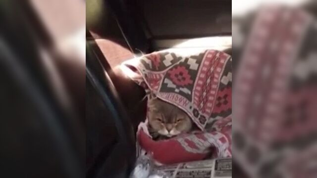 Слушать со звуком