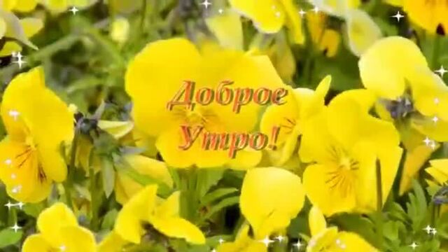 Удачного понедельника! доброе утро!