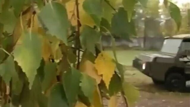 Луаз 967 - амфибия, автомобиль сделанный на базе запорожца