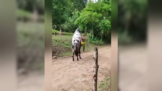 Не твой уровень дорогой 