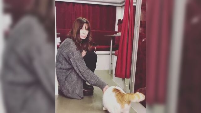 Дениз чакыр и китий