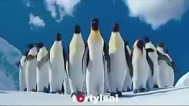 Опмай-опмай (класстастар)