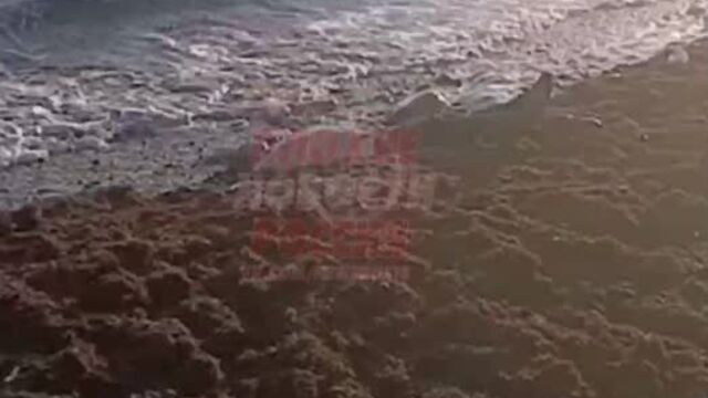 Акшин гусейнов труп