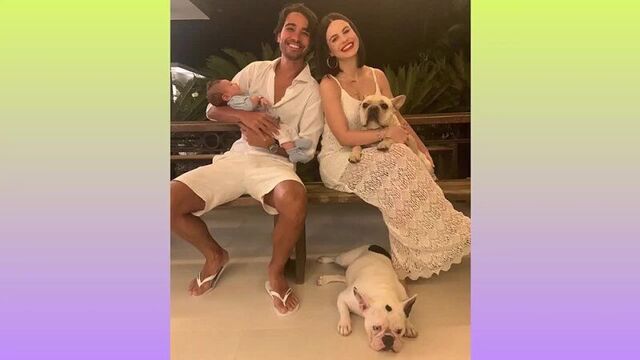 Актеры клон и их домашние животные | клон | актеры тогда и сейчас