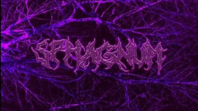 Ya ne lublu tebya (sphagnum)