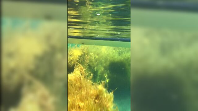 Video by парк sup-сёрфинга "лесная гавань"