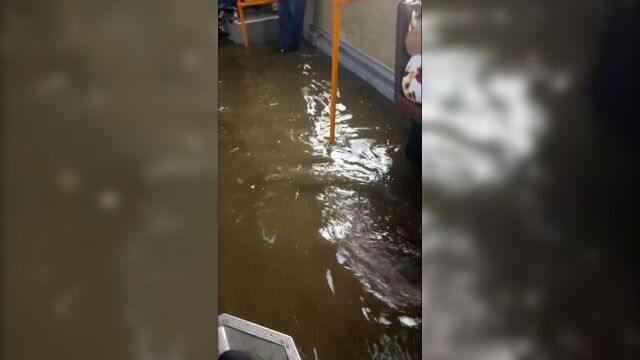 12.07.2018 брест подтопило [подслушано кобрин]