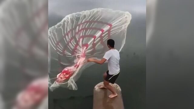 Кастинговая сеть