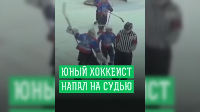 Юный хоккеист напал на судью