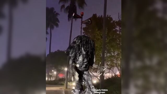 Сиреноголовый существует