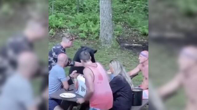 Дружелюбный мишка