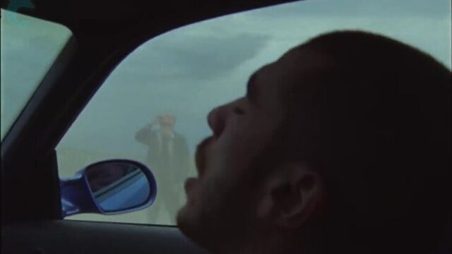 Хаски - иуда | овсянка, сэр!