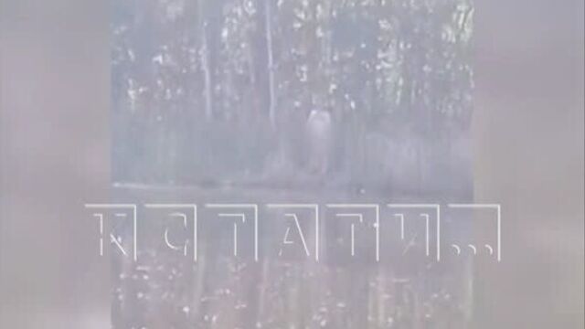 Сексуальный извращенец распугивает подростков в балахне