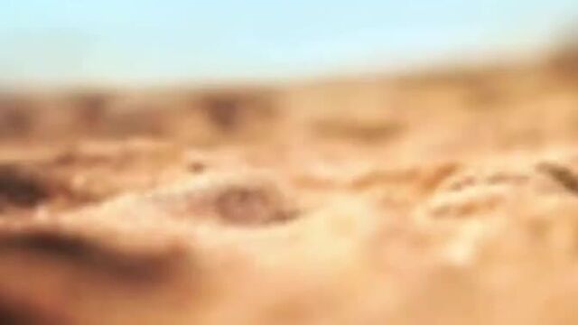 Hot nude amateur milfs beach voyeur close up pussy - xvideos.com.mp4