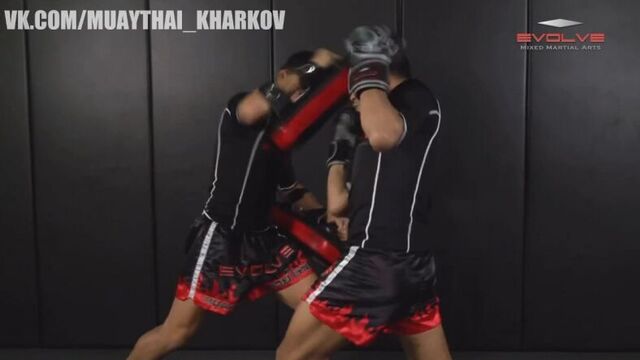 Muay thai - right-overhand, hook, uppercut knockdown- fight breakdown _ evolve university